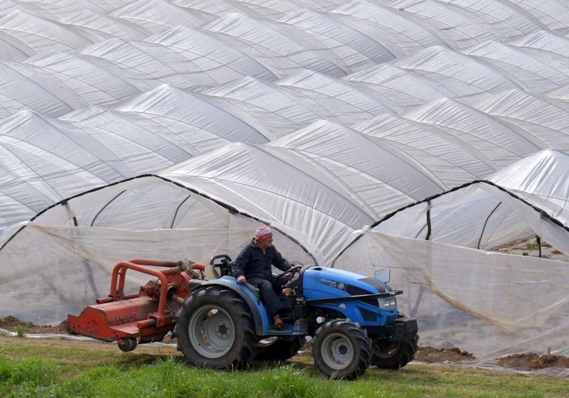 Agriculture Products