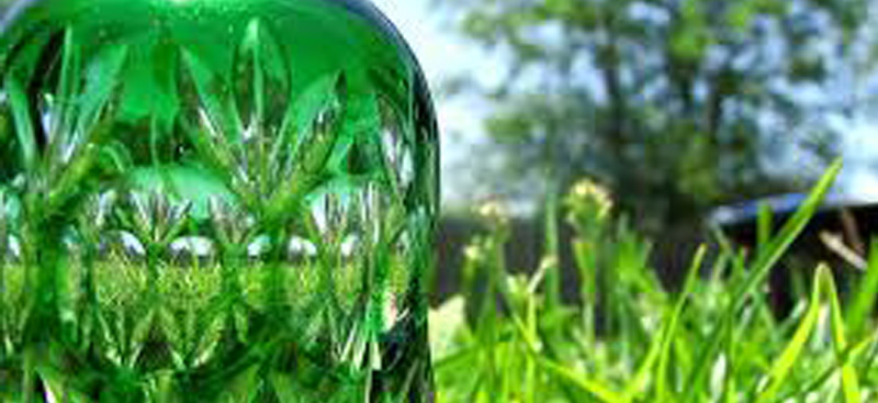 BIO - FILLER MASTERBATCH